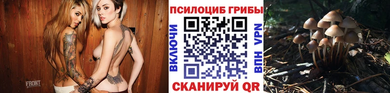 где купить наркоту  гидра ССЫЛКА  Галлюциногенные грибы ЛСД  Сковородино 